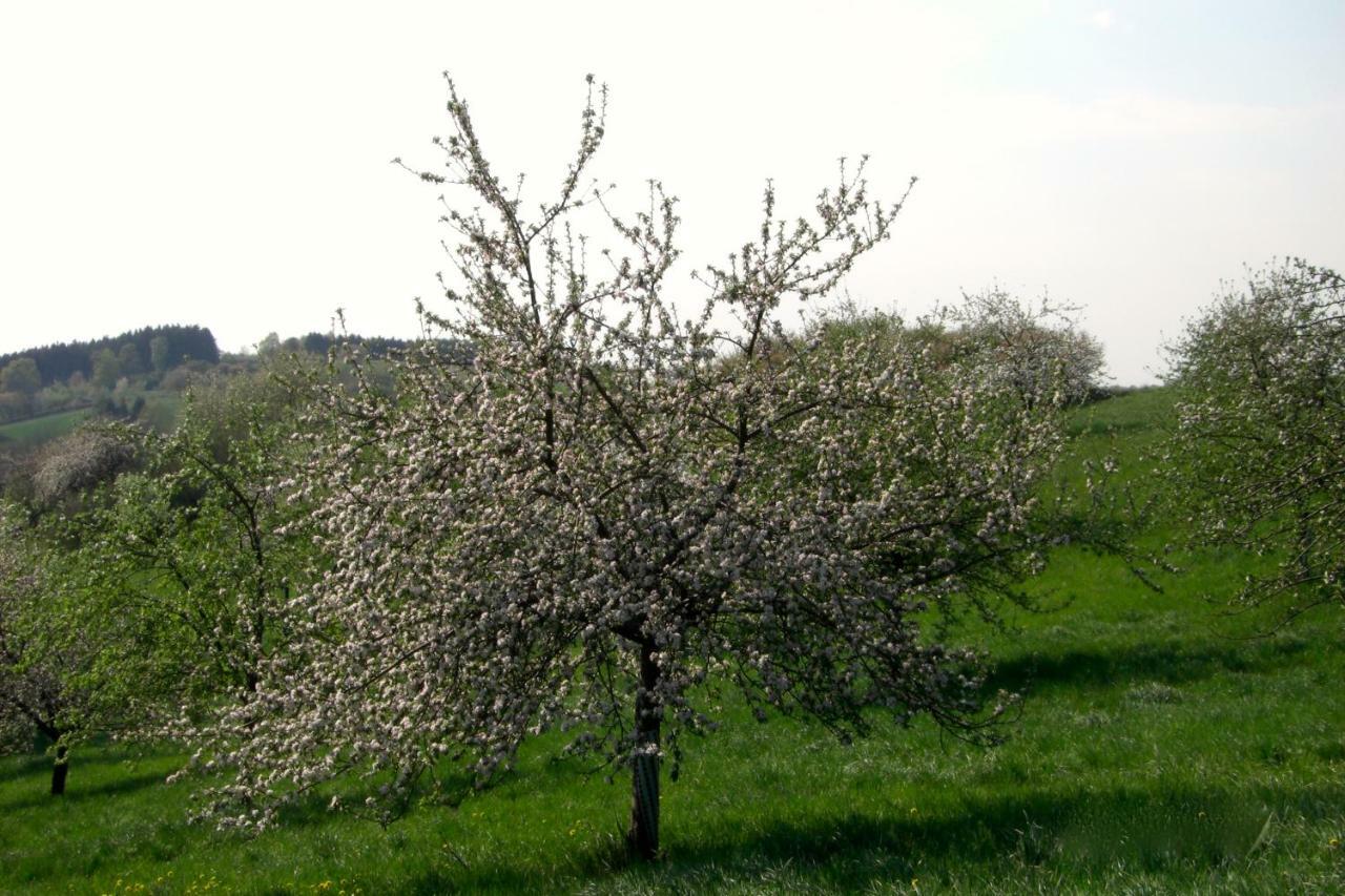 Ferienwohnung Kuhn Rhumspringe Dış mekan fotoğraf